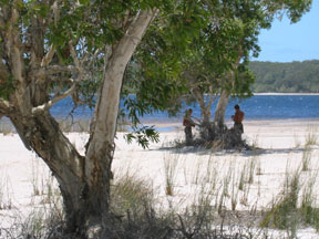 Fraser Island: A Lake