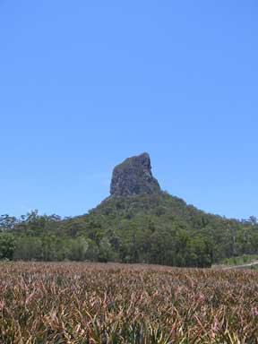 One of the Glasshouse Mountains