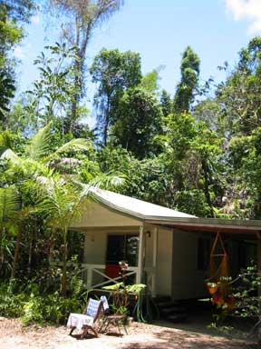 Mission Beach: Our House in the Rain Forest