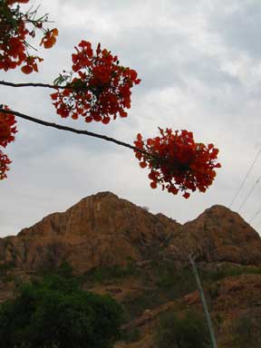 Townsville Lookout