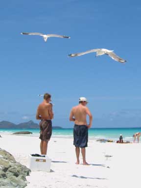 The Whitsunday Islands: Seagulls and Men