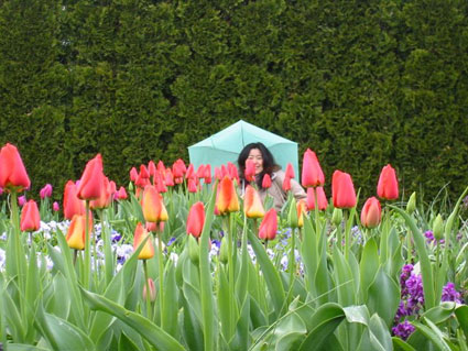 Monet's Garden, Giverny, France