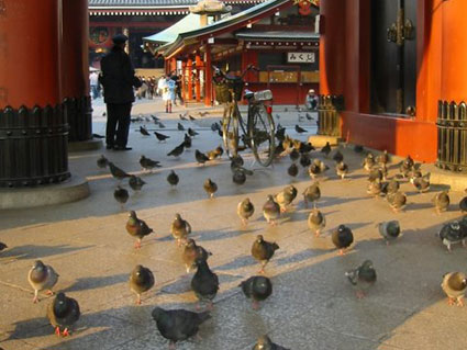 Asakusa, Tokyo, Japan